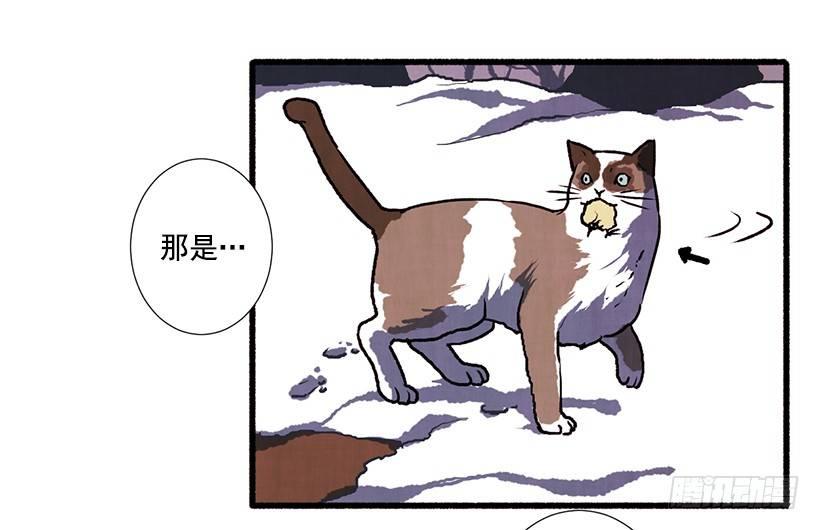 2.一场误会51