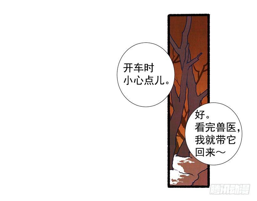9.蕾拉27