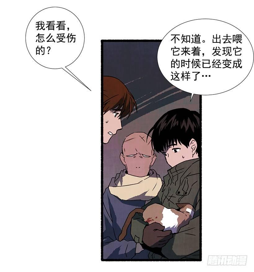 9.蕾拉5