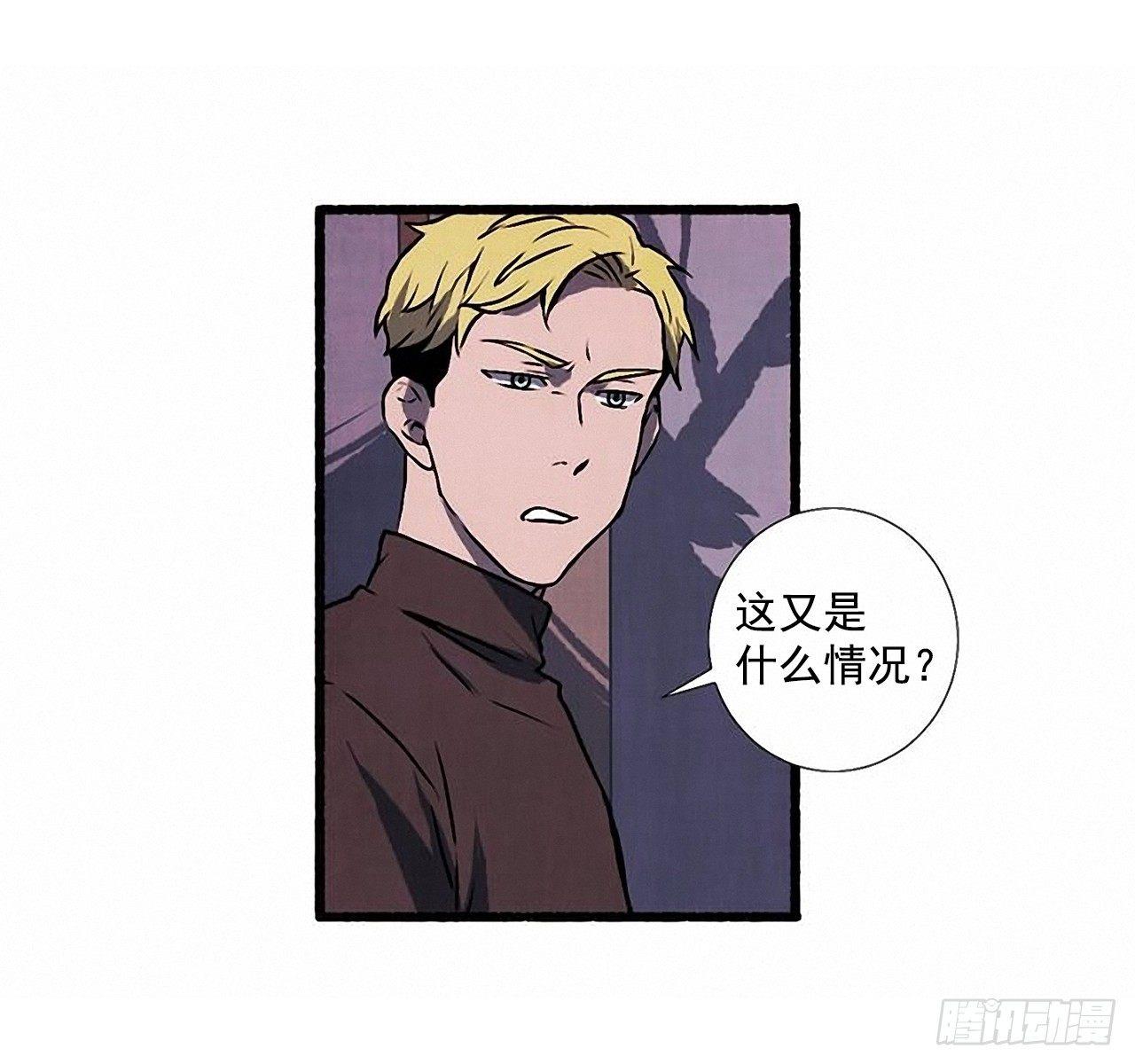 24.五只鹿标本58