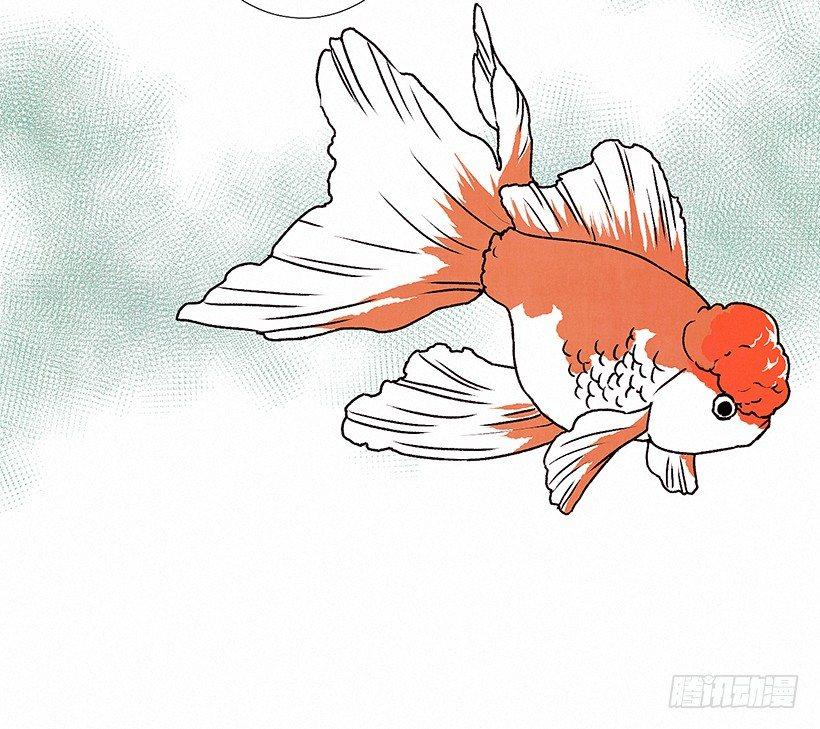 6.求助15