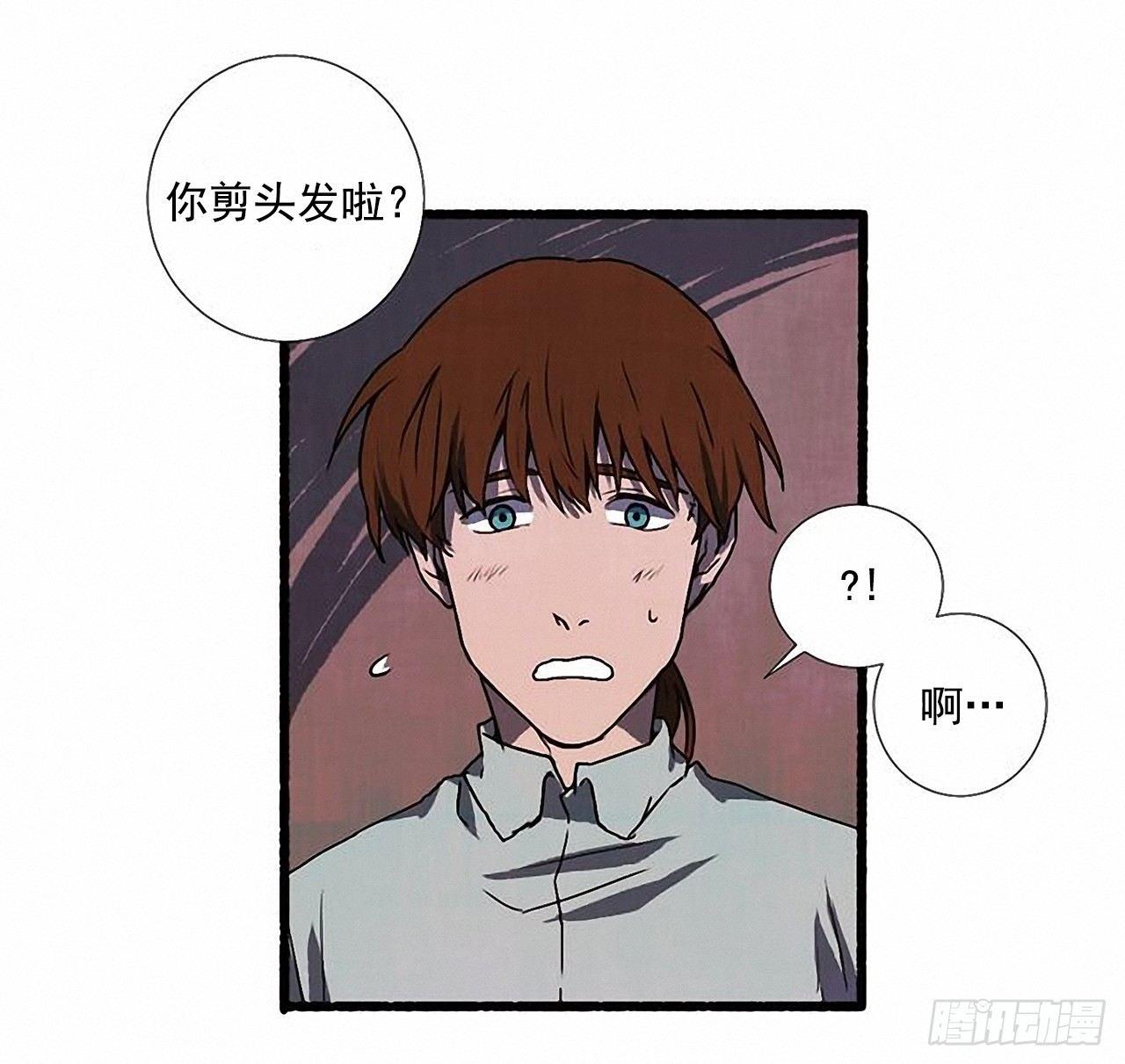 24.五只鹿标本15