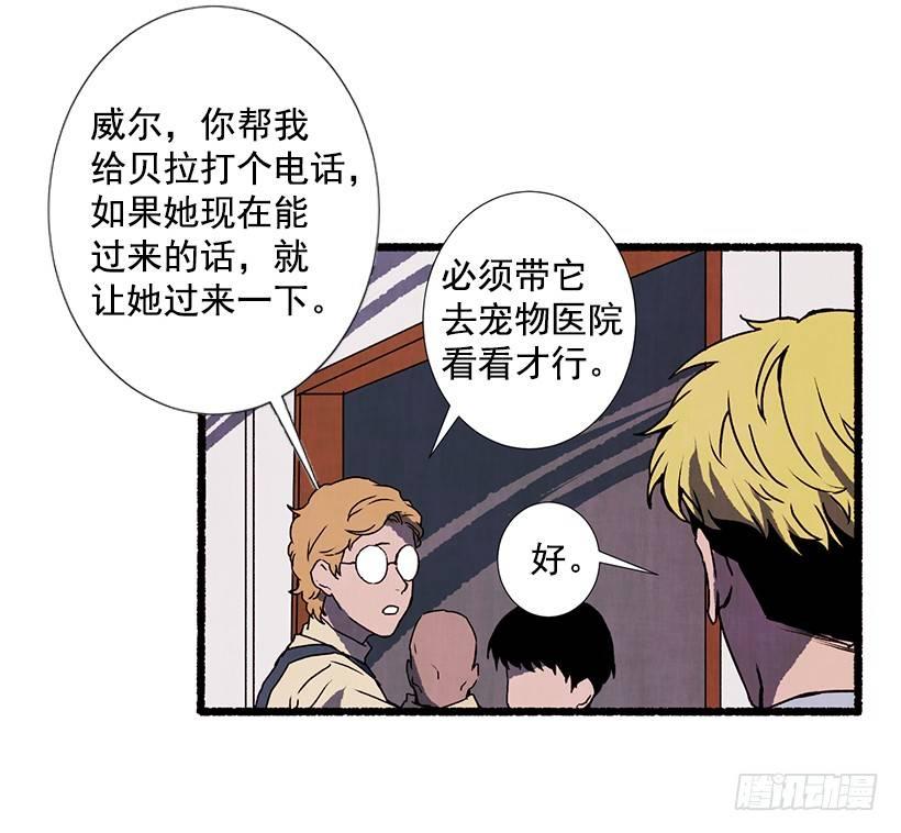 9.蕾拉11