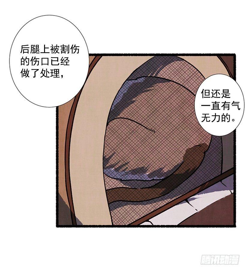 9.蕾拉19