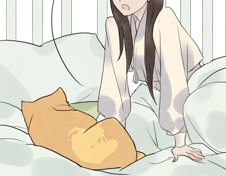 第17话  最好看的猫50