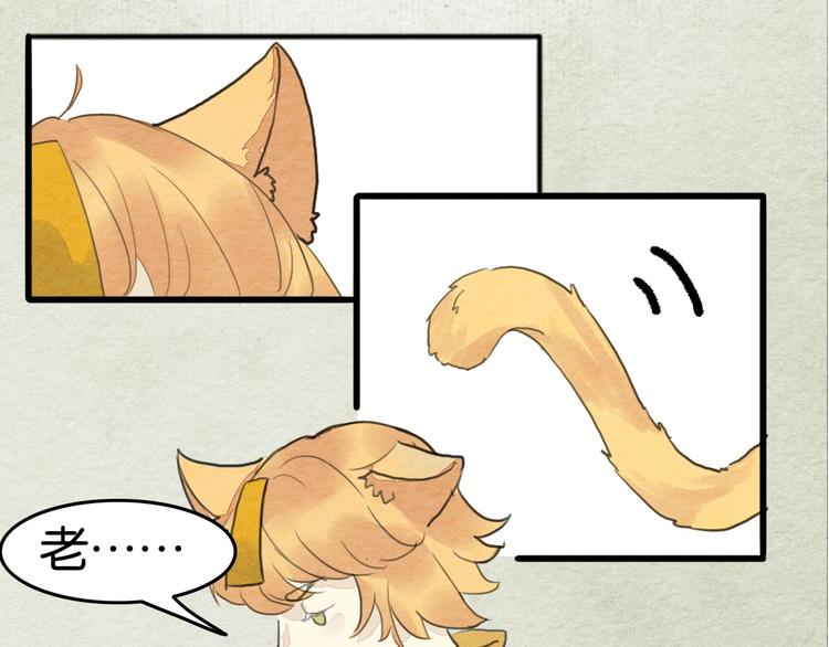 第17话  最好看的猫9