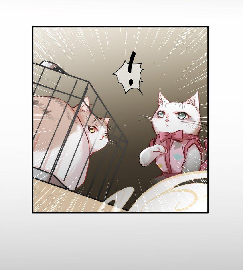 011 “偷卷”误遇杀机12