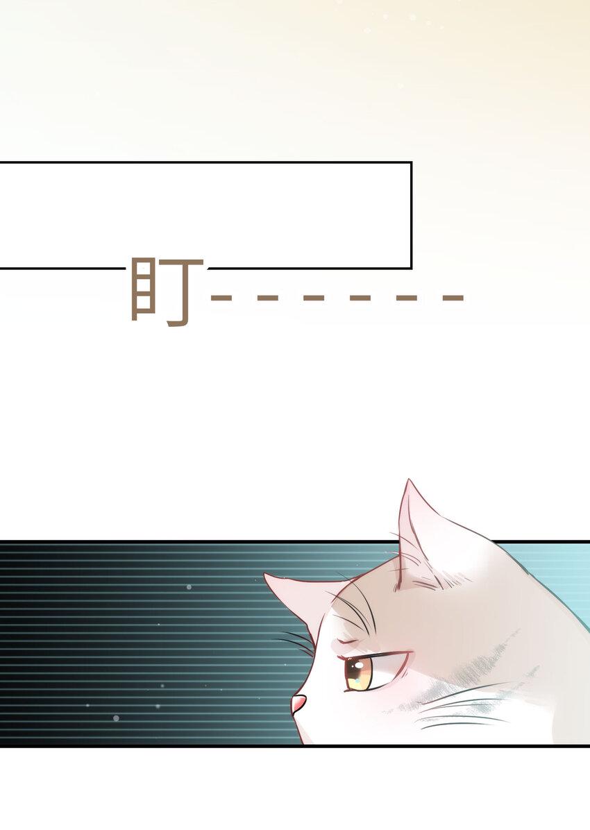 009 猫届女装大佬是小偷？15