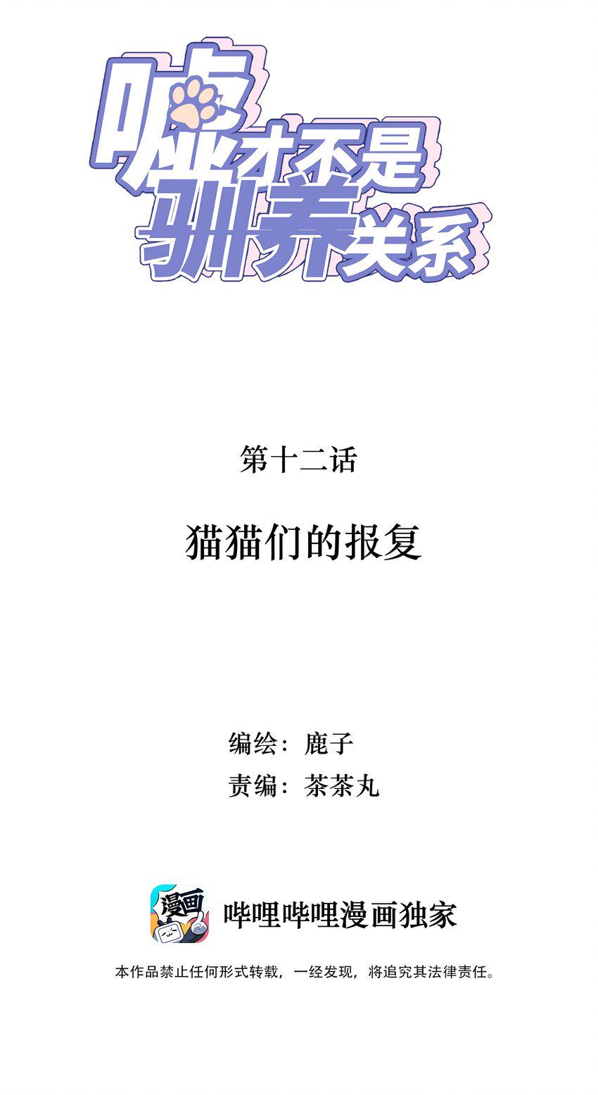 012 猫猫们的报复1
