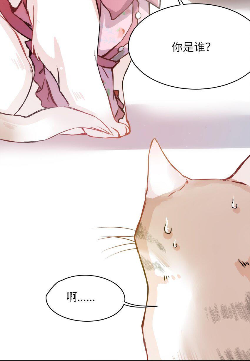 010 “作弊”见真情！7