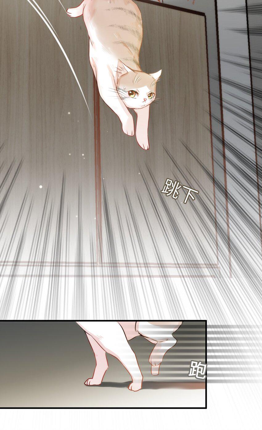 011 “偷卷”误遇杀机17