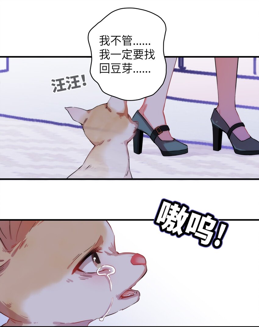 006 小狗豆芽的求助7