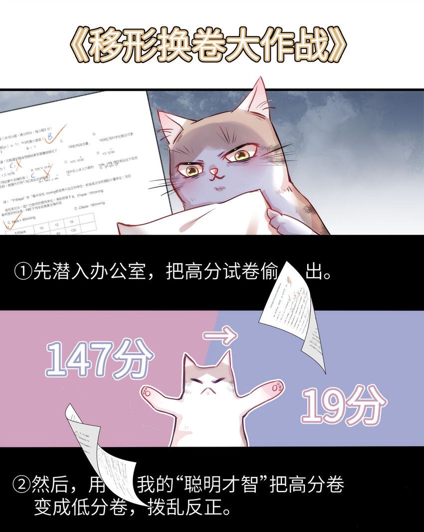 009 猫届女装大佬是小偷？30