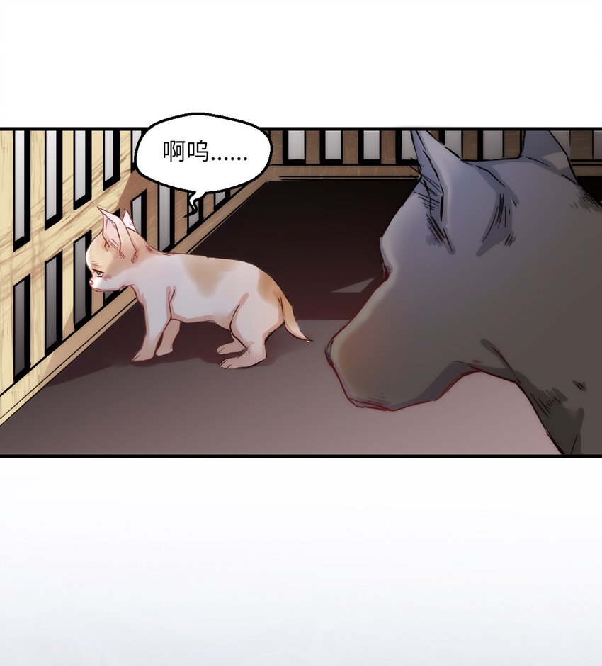 005 什么！居然是狗......41