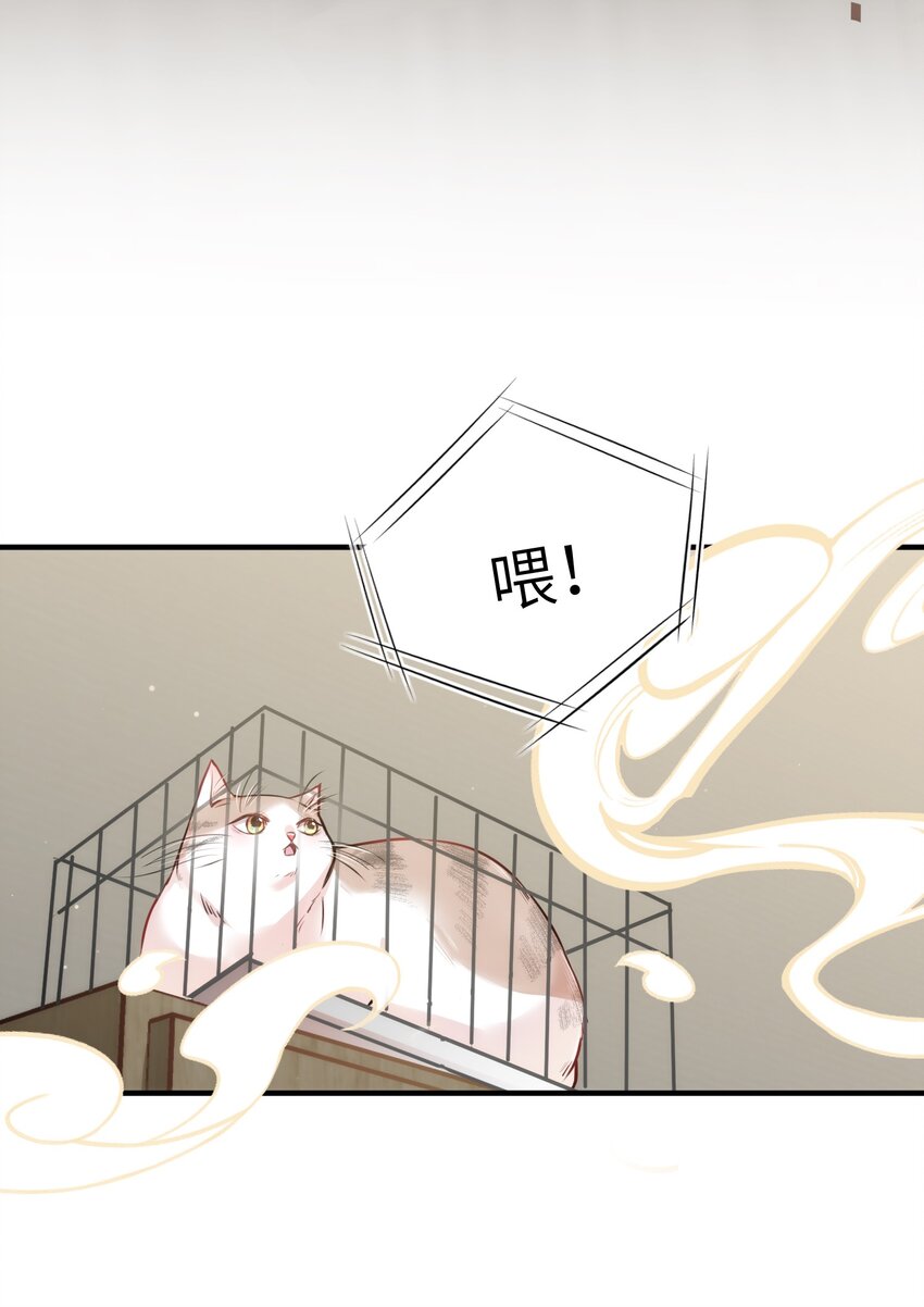 011 “偷卷”误遇杀机8