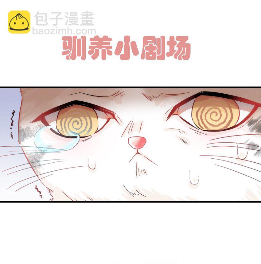 003 晏家的绝后危机？！40