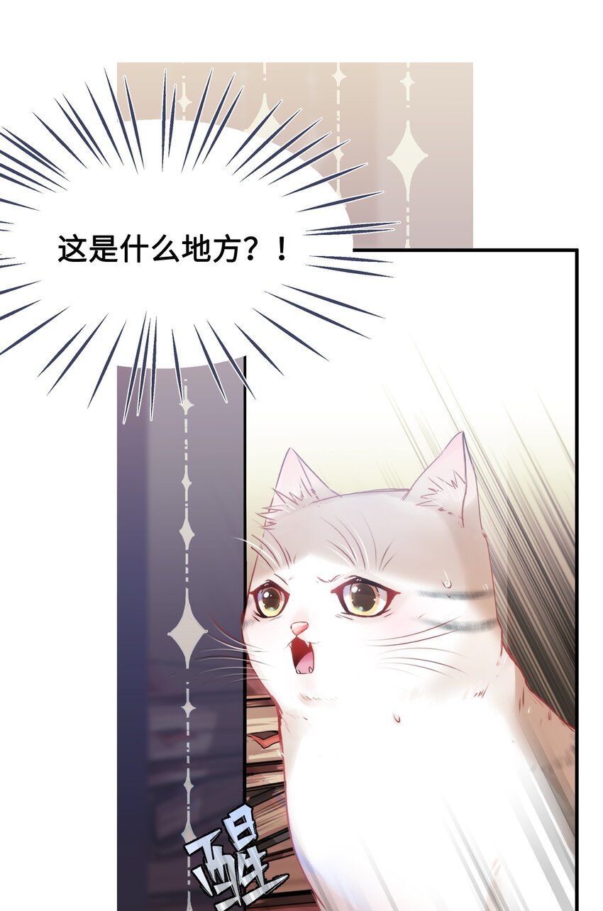001 突然变成毛绒绒……6