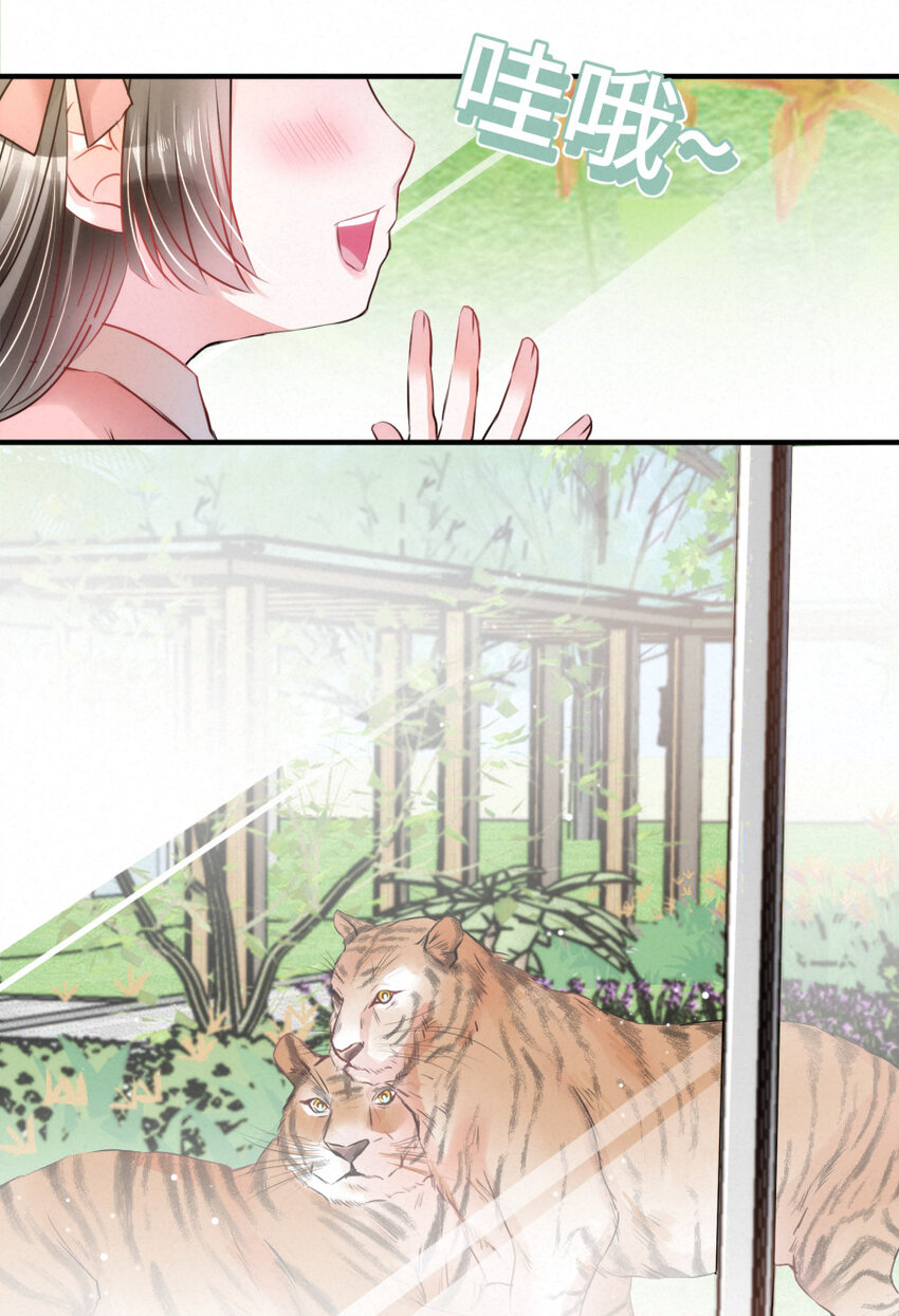 022 我.....是老虎4