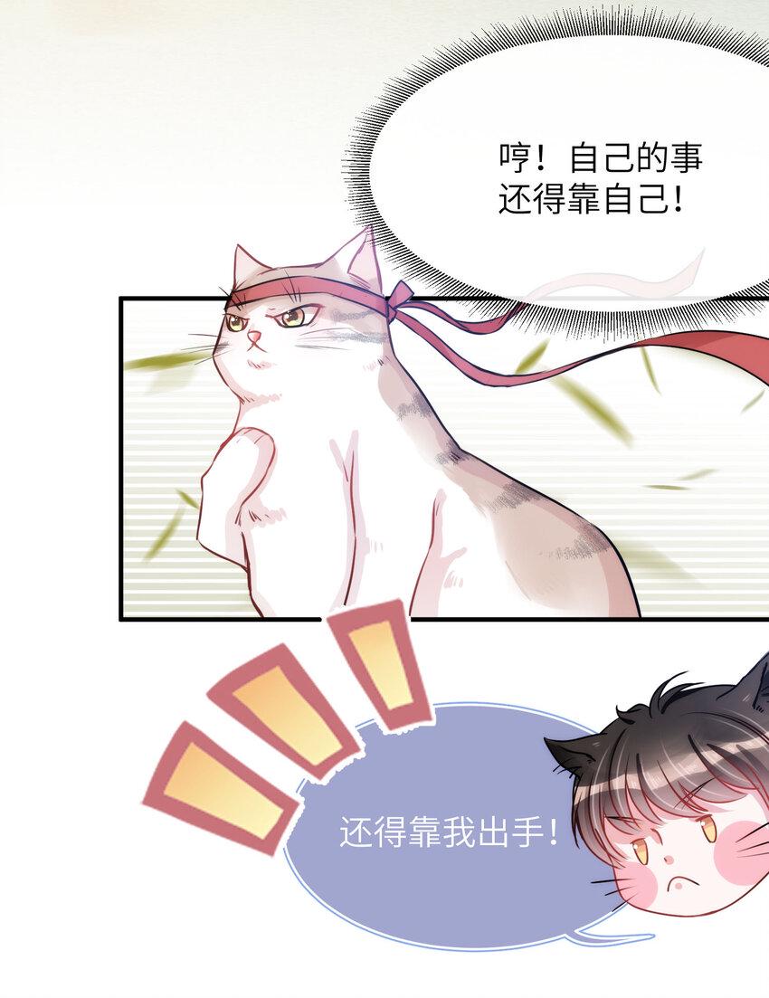 009 猫届女装大佬是小偷？29