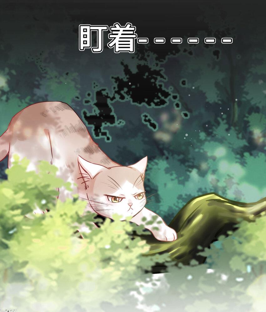 009 猫届女装大佬是小偷？7