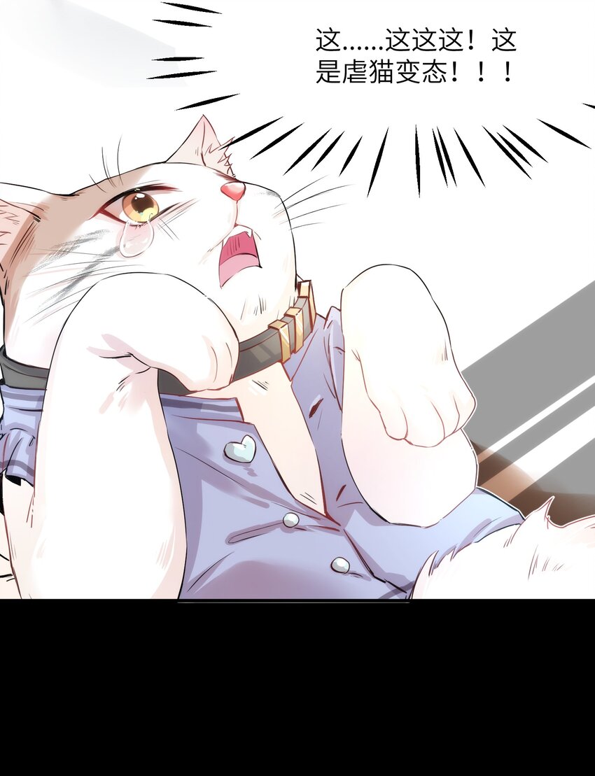012 猫猫们的报复14