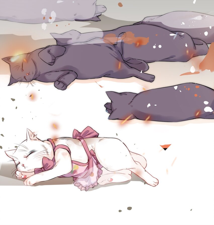 013 毁灭吧，虐猫人！16
