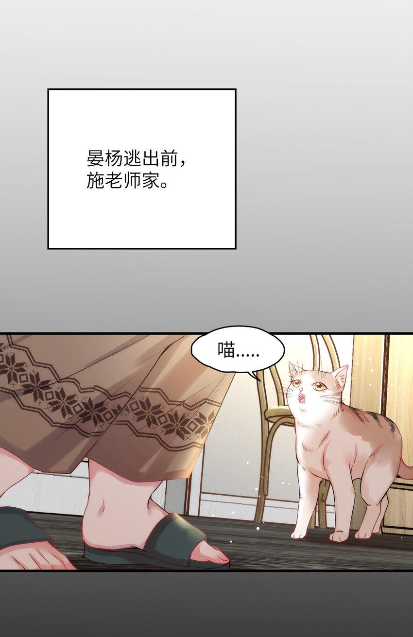 012 猫猫们的报复8