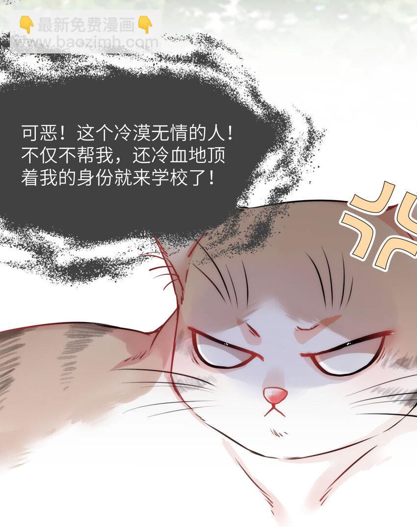 009 猫届女装大佬是小偷？8