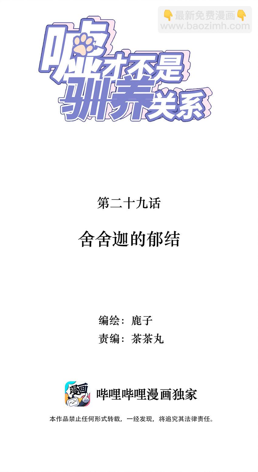 029 舍舍迦的郁结1