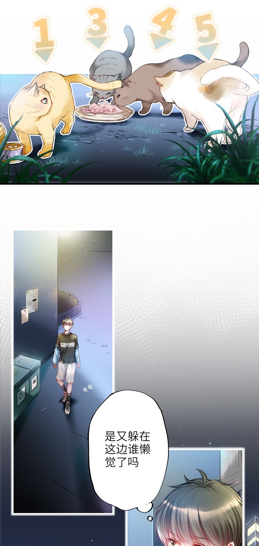 001 突然变成毛绒绒……21