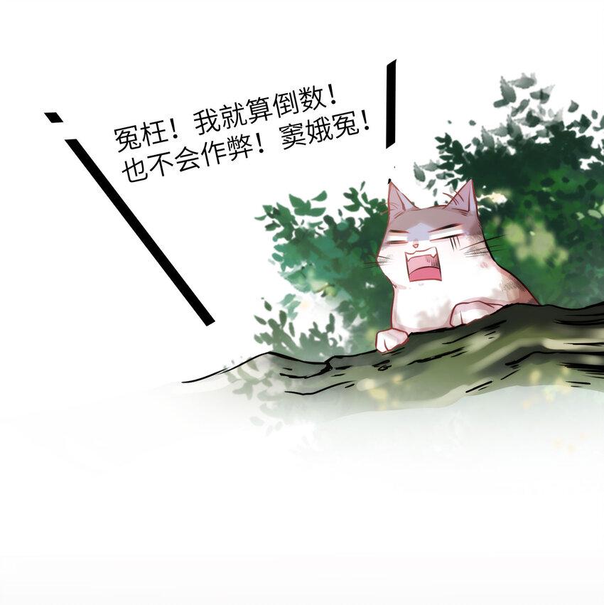 009 猫届女装大佬是小偷？26