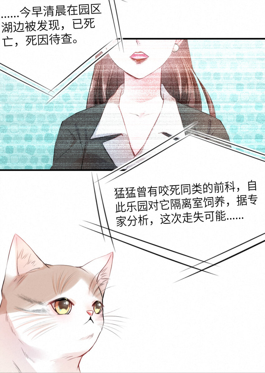 023 扭曲的报复12