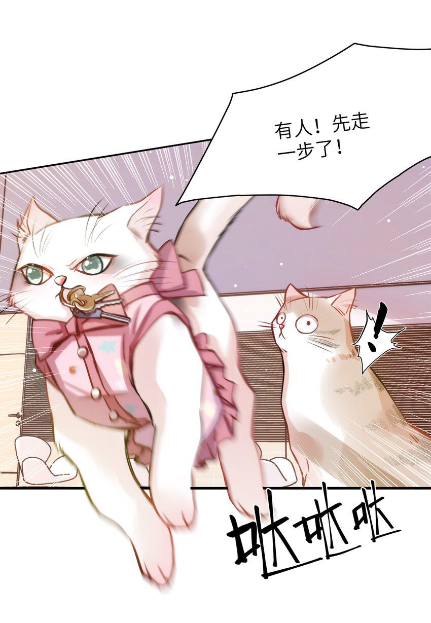 010 “作弊”见真情！9
