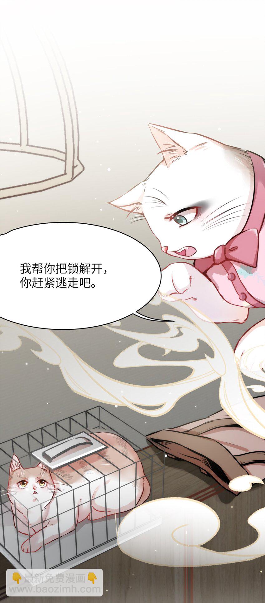 011 “偷卷”误遇杀机9