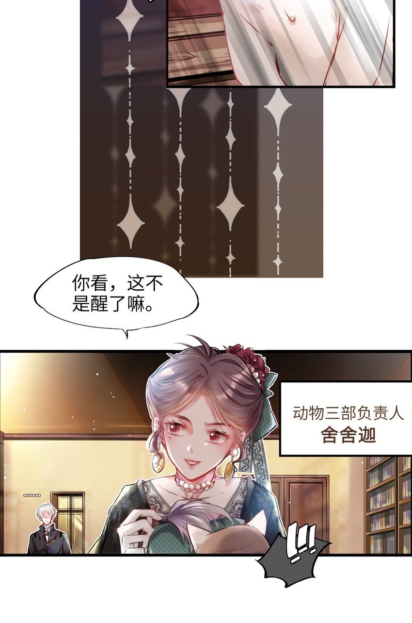 001 突然变成毛绒绒……7