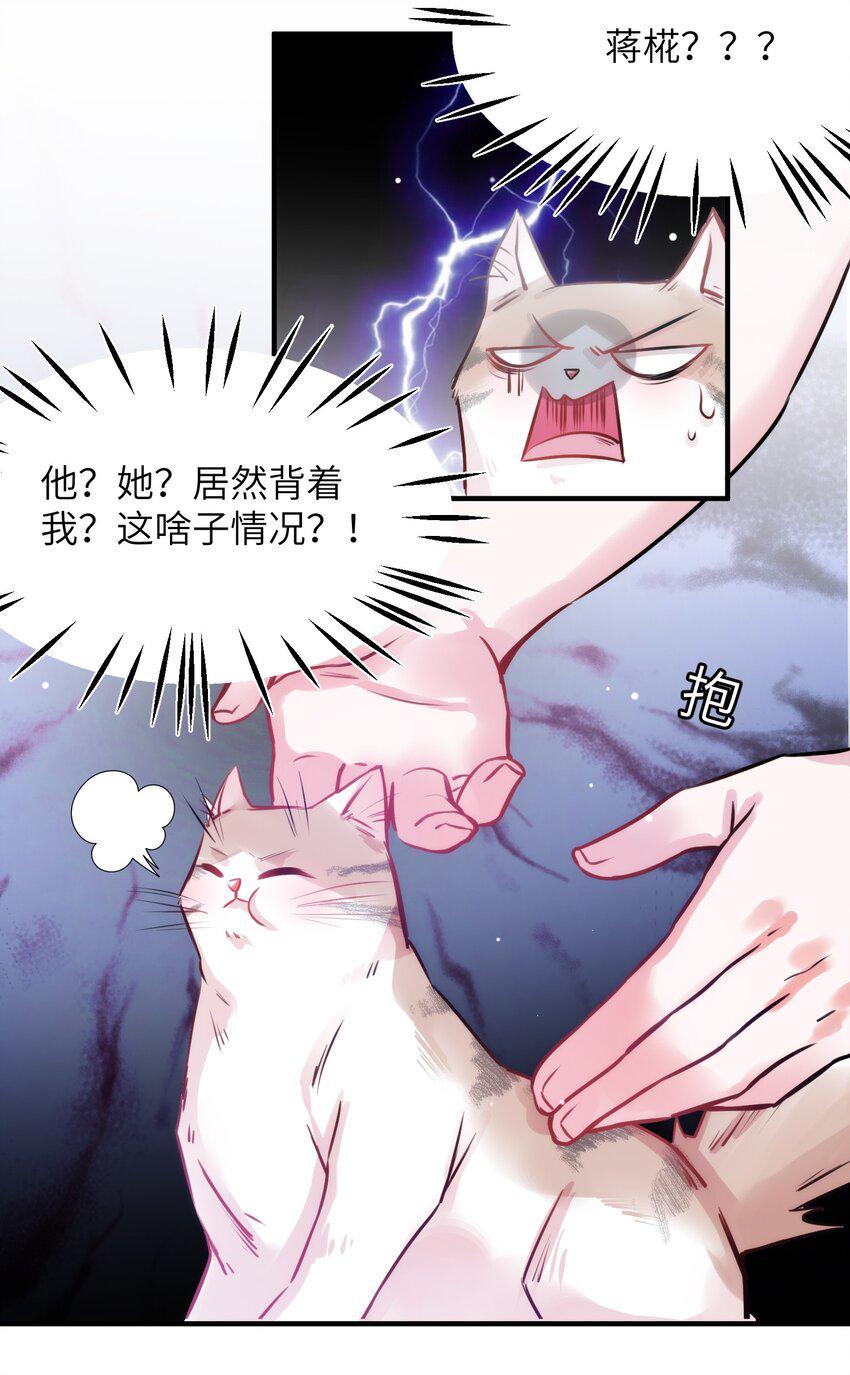 010 “作弊”见真情！31