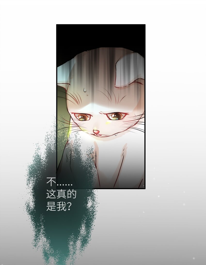 002 妈妈，我才是你的儿啊！6