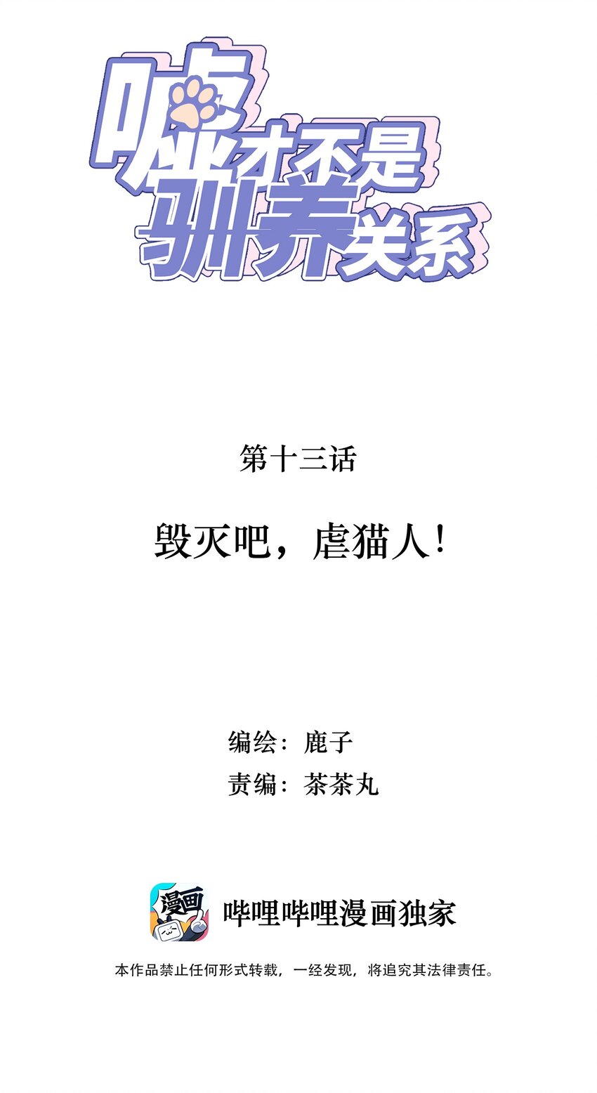 013 毁灭吧，虐猫人！1