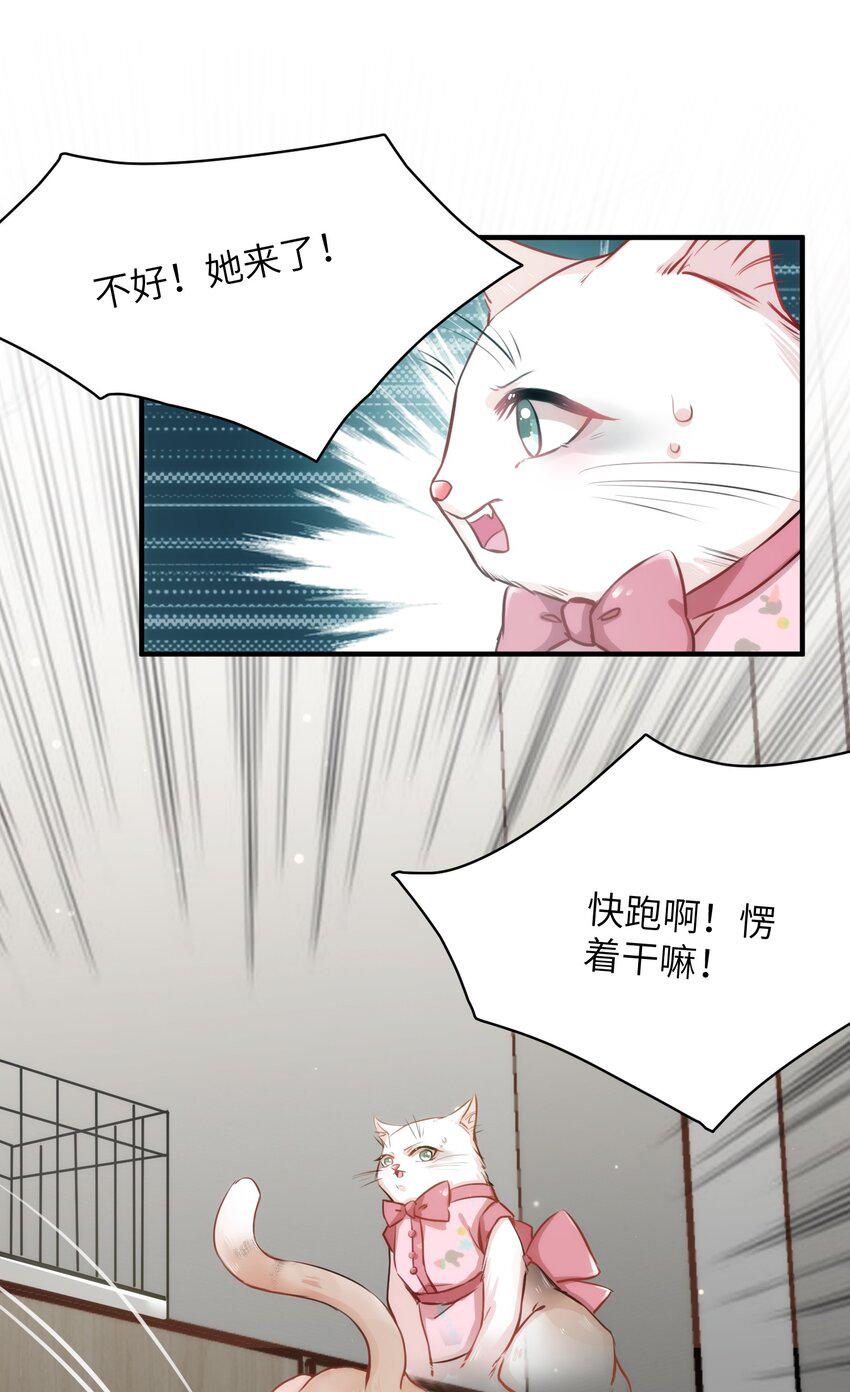 011 “偷卷”误遇杀机16