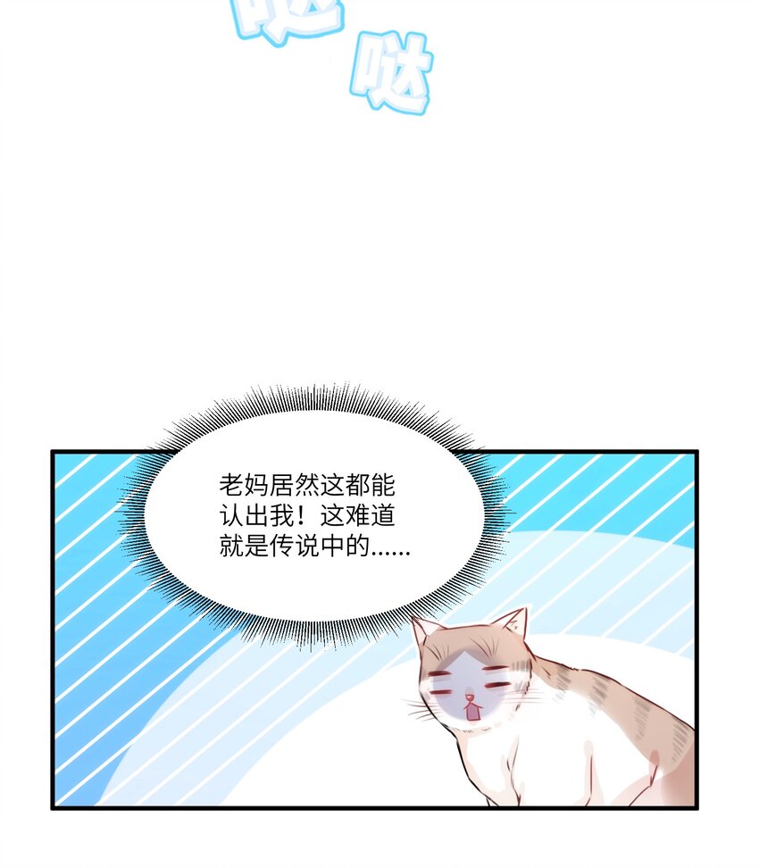 002 妈妈，我才是你的儿啊！39