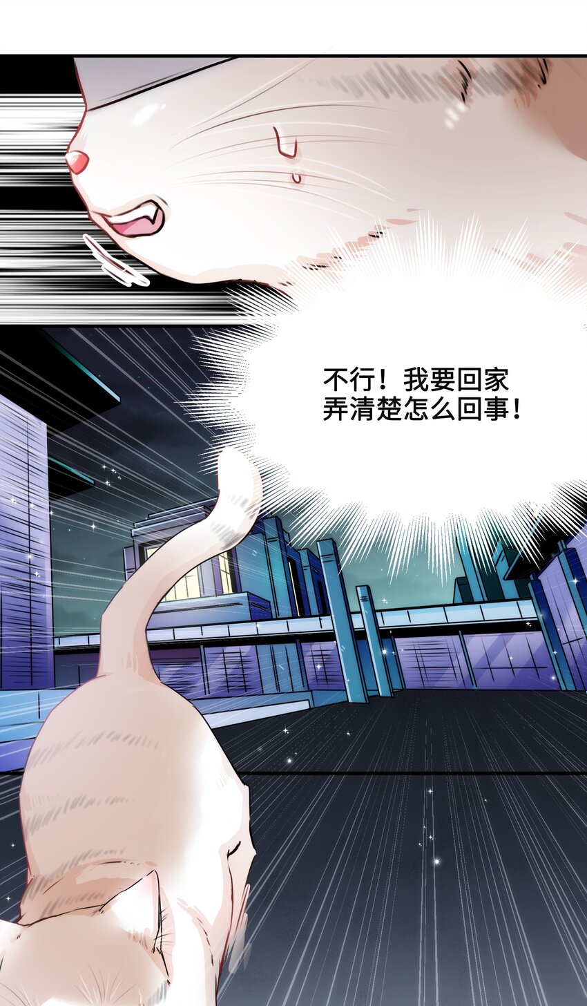 003 晏家的绝后危机？！4