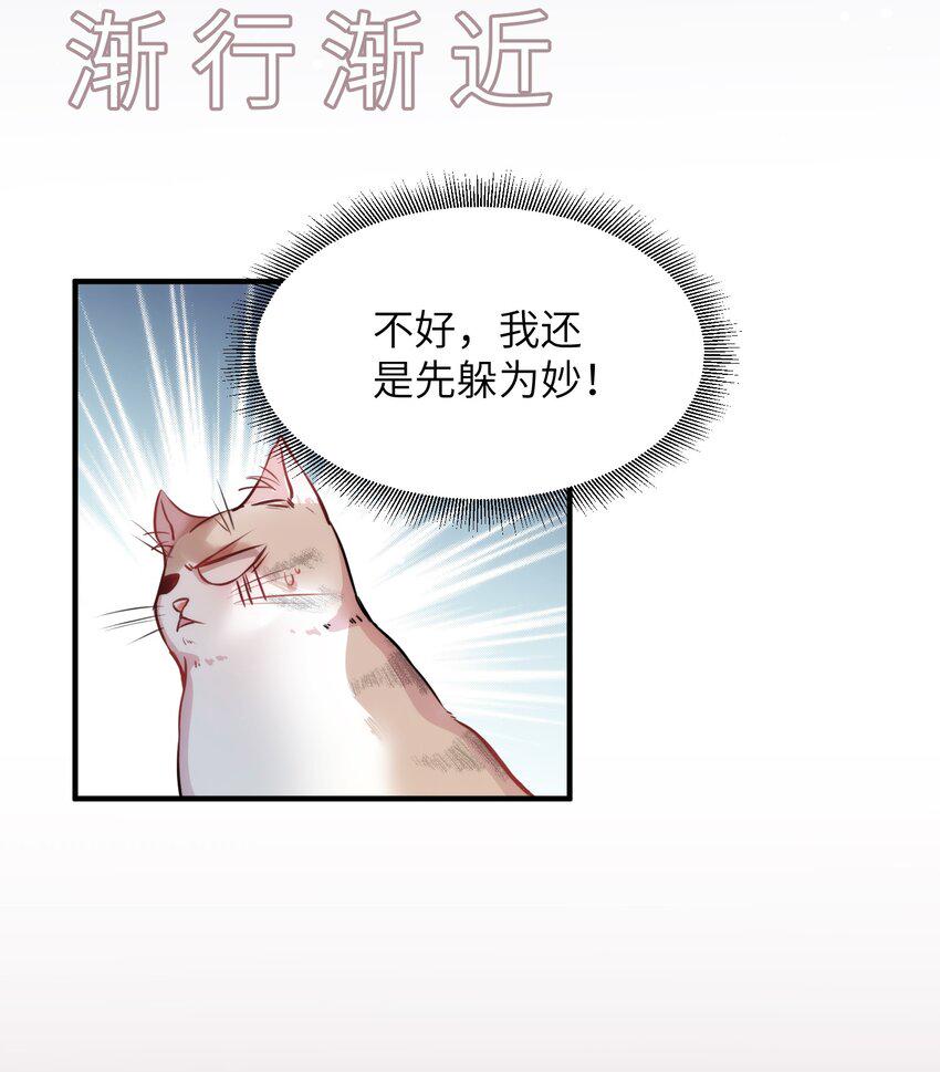 010 “作弊”见真情！12