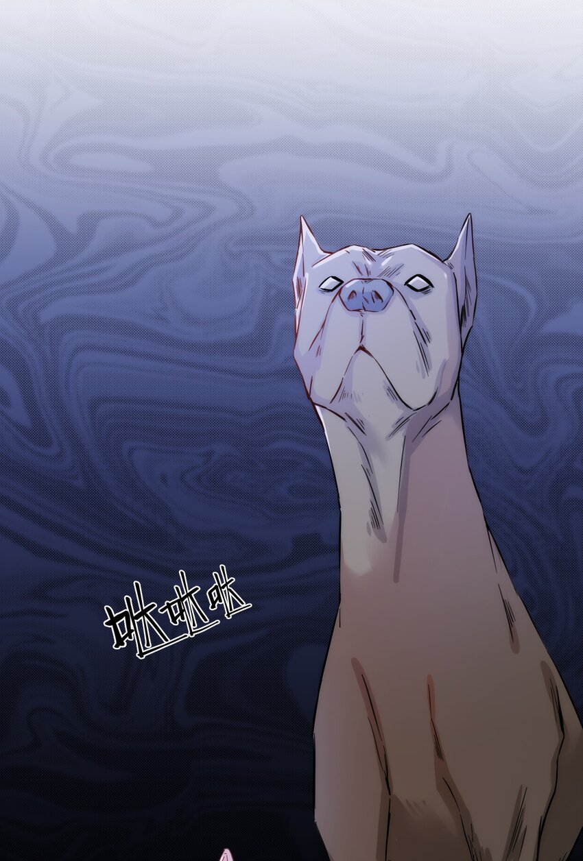 005 什么！居然是狗......42