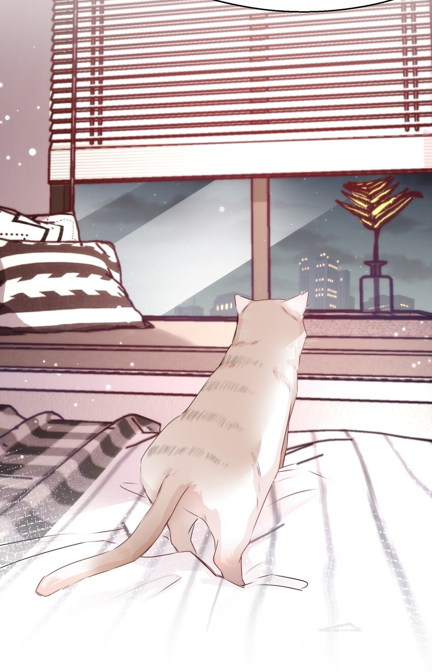003 晏家的绝后危机？！26