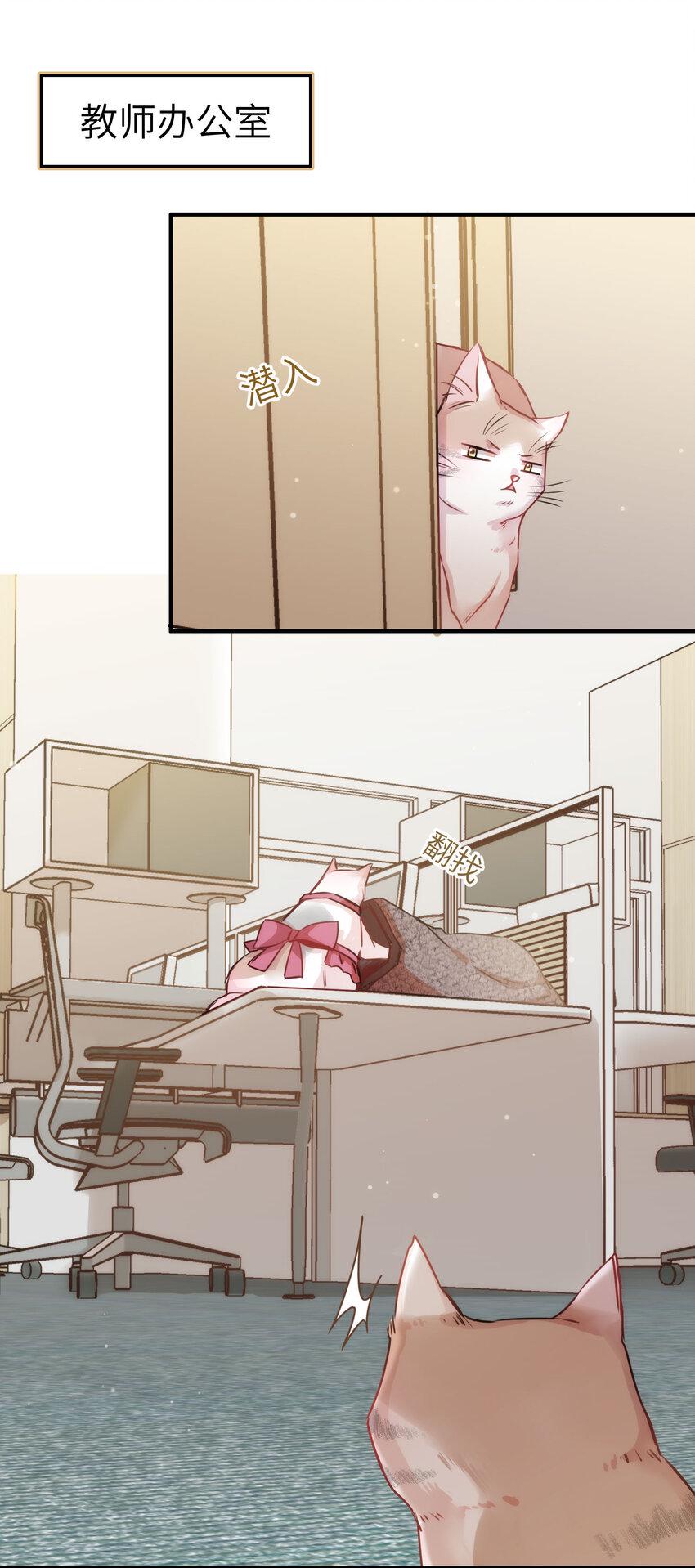 009 猫届女装大佬是小偷？32