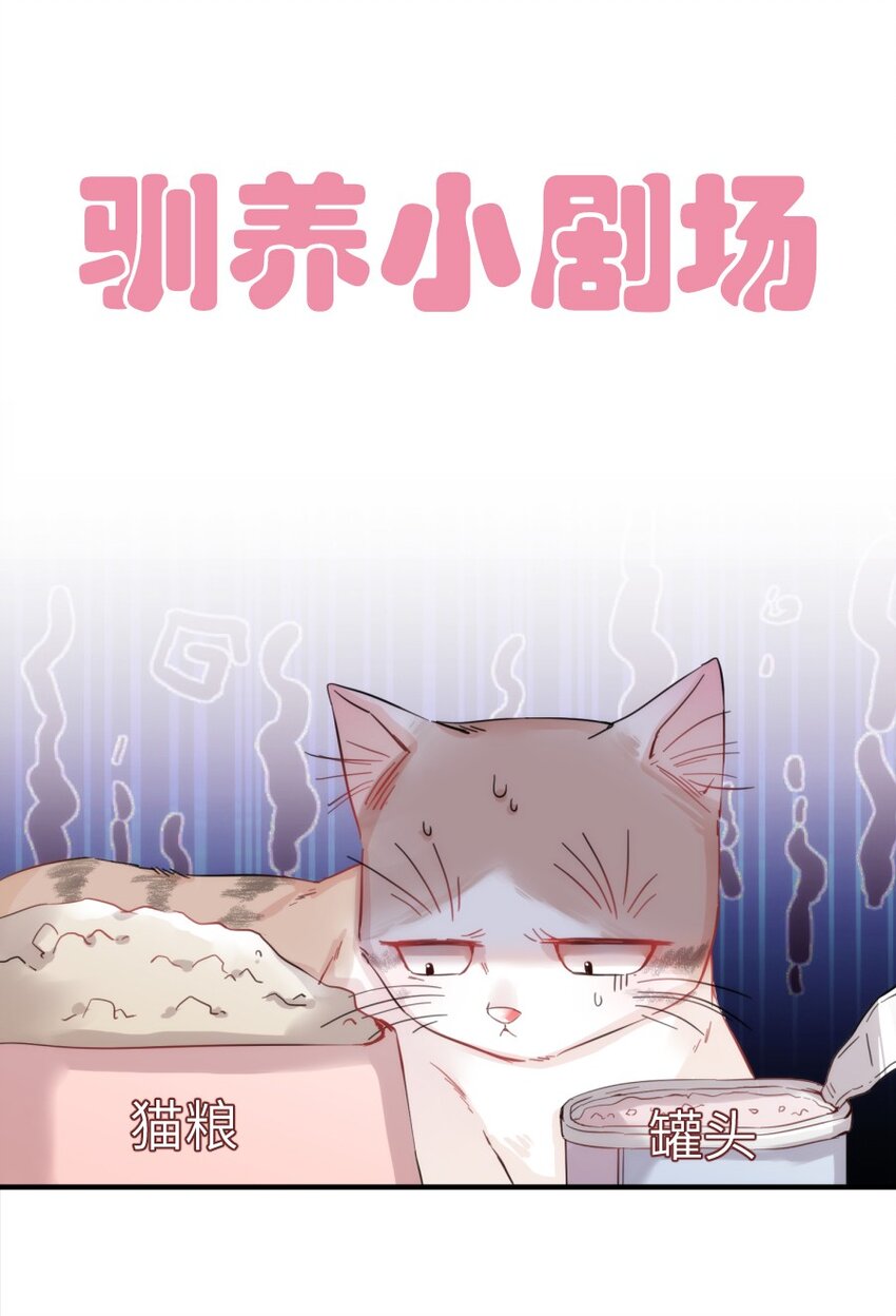 005 什么！居然是狗......44