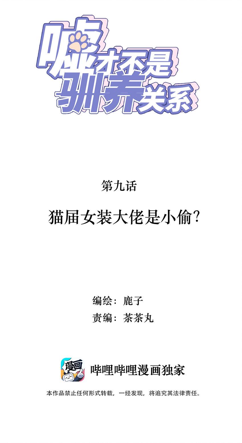 009 猫届女装大佬是小偷？1