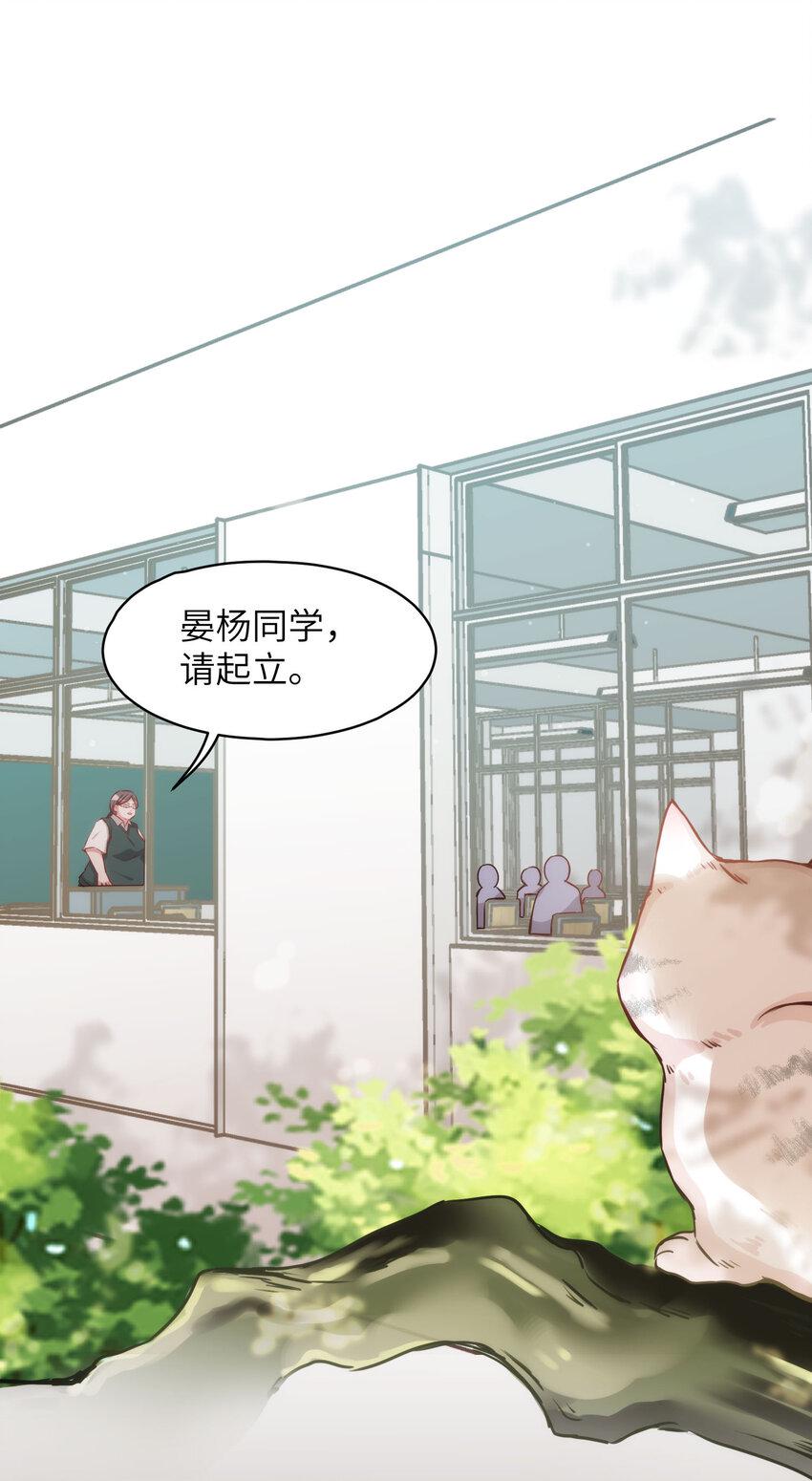 009 猫届女装大佬是小偷？16