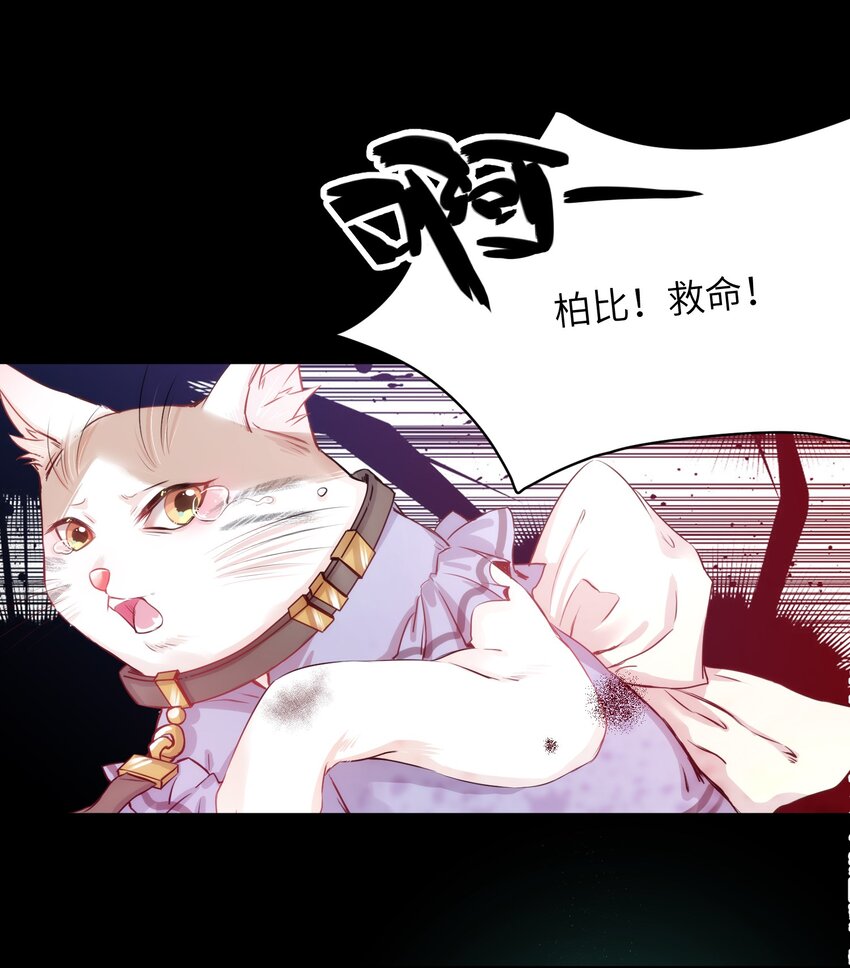 012 猫猫们的报复16