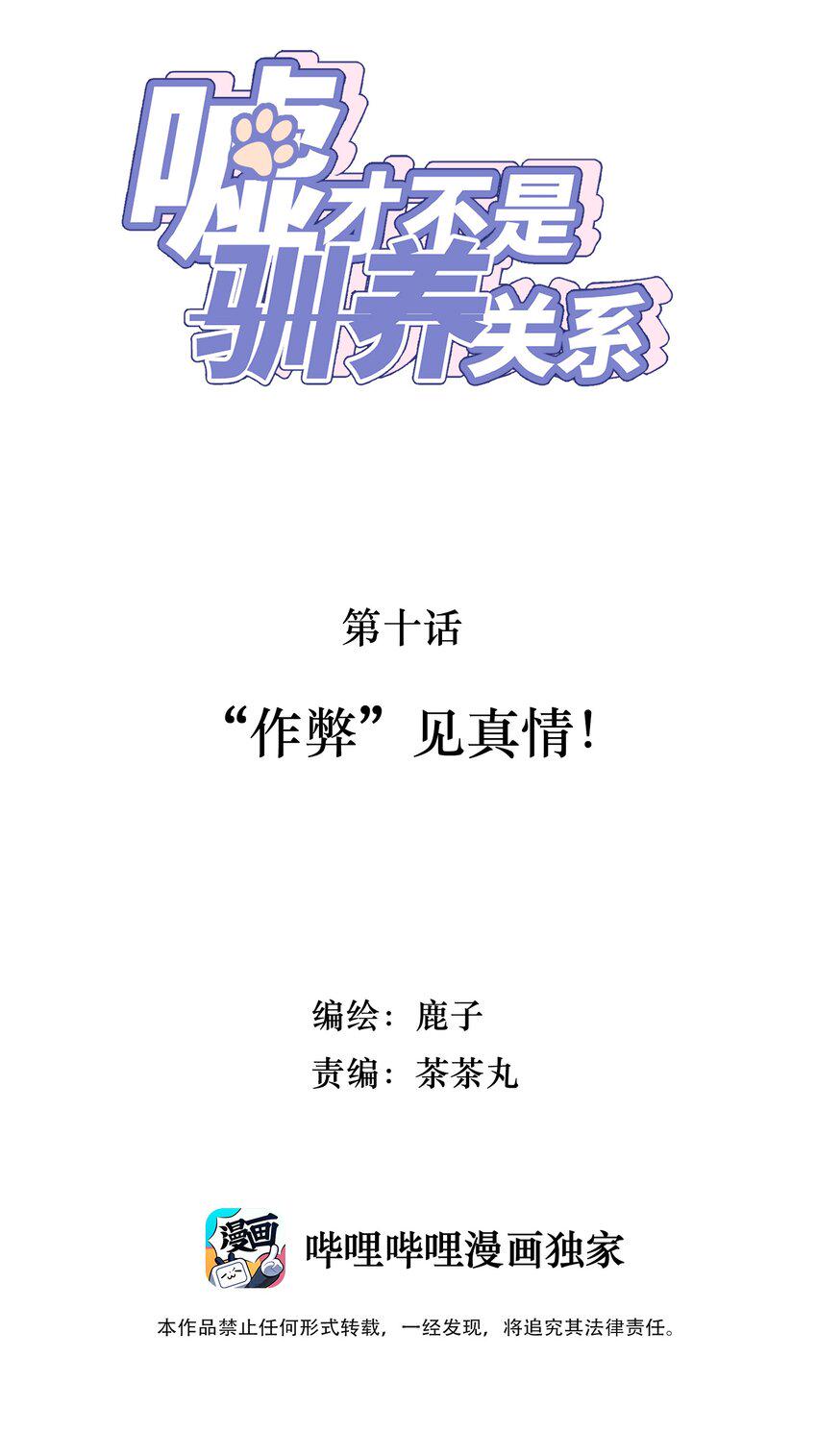 010 “作弊”见真情！1